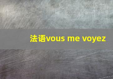 法语vous me voyez